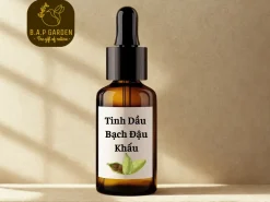 Tinh dầu Bạch Đậu Khấu