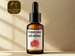 Tinh dầu Gỗ Hồng