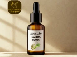 Tinh Dầu Sả Hoa Hồng