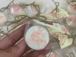 Nến Tealight Mini