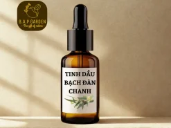 Tinh Dầu Bạch Đàn Chanh
